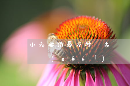 小夫妻借男方母親名義購(gòu)房，房子歸誰(shuí)？